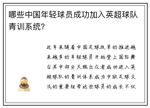 哪些中国年轻球员成功加入英超球队青训系统？