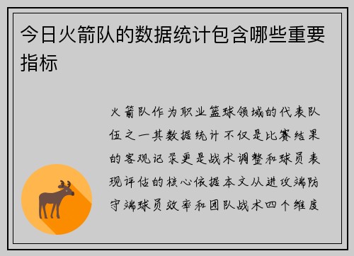 今日火箭队的数据统计包含哪些重要指标